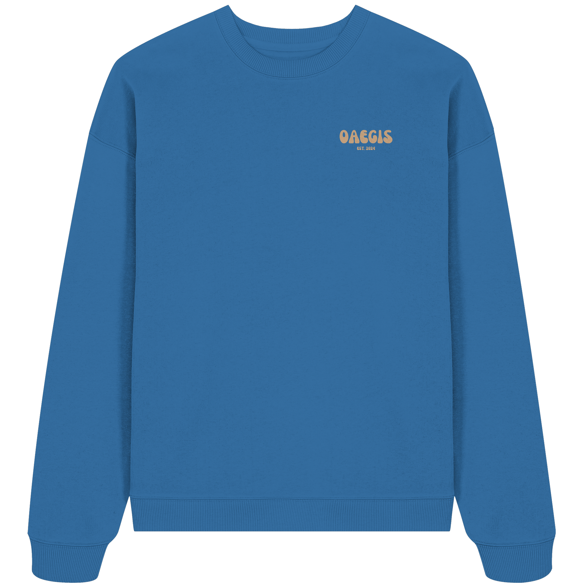 Hellblauer Oversize Pullover aus 100% Baumwolle mit Rundhalsausschnitt und minimalistischem Design auf der linken Brust 